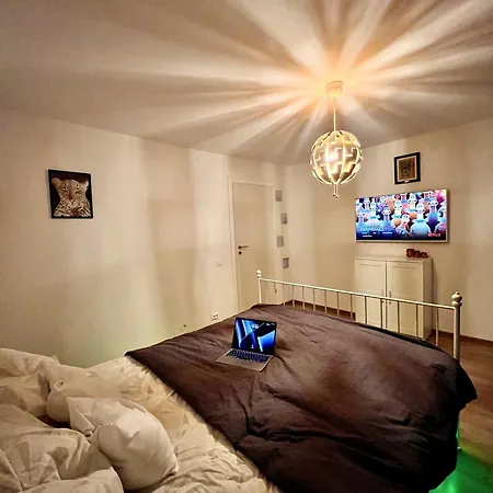 Cozysuite